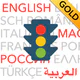 Führerschein 2026 GOLD icon