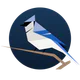 BirdNET Live icon