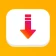 Downloadprogram icon
