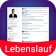 Lebenslauf erstellen Bewerbung icon