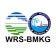 WRS-BMKG icon