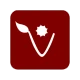 AlfaDPF icon