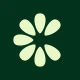 Clove: Import & Save Recipes icon