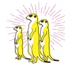 이지패스 ADsP icon