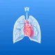 Lung Heart Sounds icon