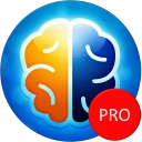 Denkspiele Pro icon