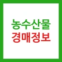 농수산물 실시간 경매 가격 정보 - 도매시장 icon