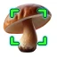 Mushroomizer icon