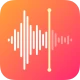 Voice Recorder & Voice Memos icon