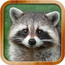 Kids Learn About Animals icon