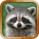 Kids Learn About Animals icon