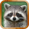 Kids Learn About Animals icon
