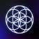 Joy: Dein Human Design Profil icon