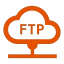 FTP Server icon