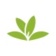PlantNet plantegjenkjenning icon