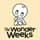 The Wonder Weeks - Baby Leaps icon