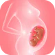 Track pregnancy & baby growth icon
