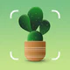 Plantum:reconnaissance plante icon
