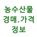 농수산물 실시간 경매 가격 정보 icon
