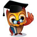 Brainster Quiz icon