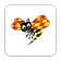 Expressen Nyheter icon