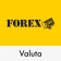 FOREX Valuta icon