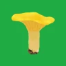 Kantarellappen icon