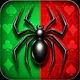 Spider Solitaire Classic Game icon
