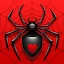 Spider Solitaire icon