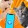 Übersetzer von Mensch zu Katze icon