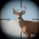 Trophy Hunter: 캐주얼 사냥 icon