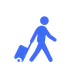 Yo'lovchi deklaratsiyasi icon