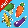 야채 플래시카드 PRO : 영어를 배우다 icon