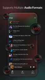 Echo Music screenshot