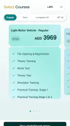 Excellence Driving screenshot