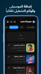Lark Player - مشغل الموسيقى screenshot