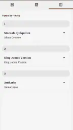 Macaafa Qulqulluu: Audio+Video screenshot