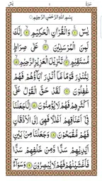 Surah Yaseen screenshot