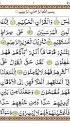 Surah Yaseen screenshot