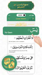 Surat Yasin( سورة يس) screenshot