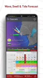 Windy.com - توقعات الطقس screenshot