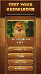 Wood Quiz Blast: Trivia Blocks screenshot