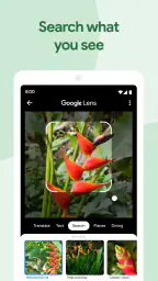صور Google screenshot