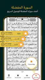 قران كريم -16 سطرا Holy Quran screenshot