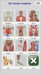 3D Bones and Organs (Anatomy) screenshot