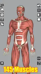 3D Bones and Organs (Anatomy) screenshot