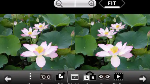 3DSteroid Pro screenshot