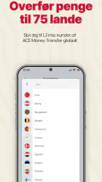 ACE Money Transfer Sende Penge screenshot