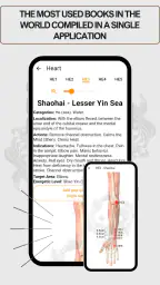Acupuncture Assistant screenshot