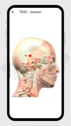 Acupuncture Assistant screenshot